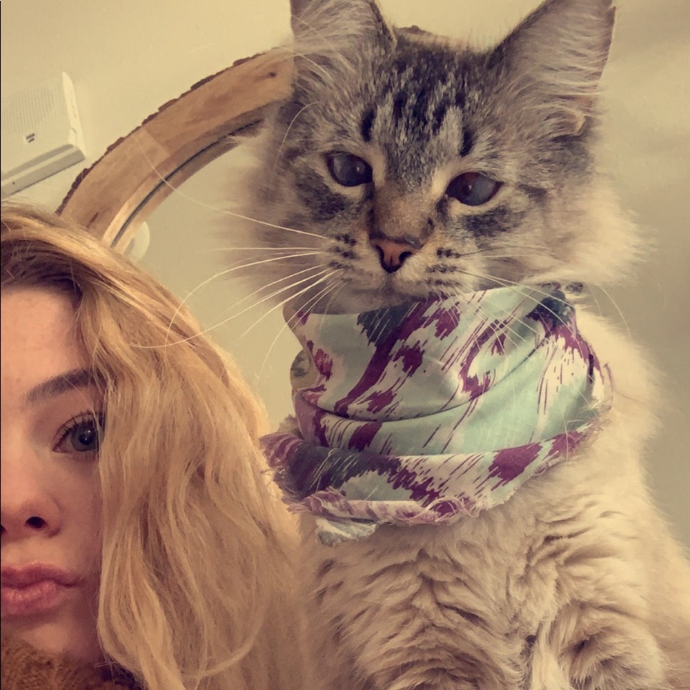 Meet your Posher, Mimi